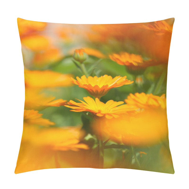 Personality  Marigold Flower Pillow Covers