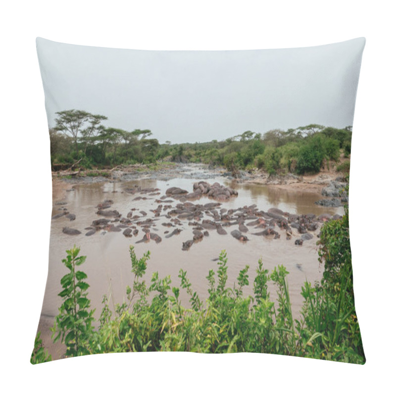 Personality  Bloat Of Hippos In River Pillow Covers