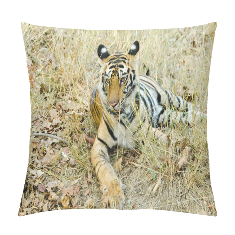 Personality  A Tiger Cub Resting Under The Shade Of Tree On A Hot Summer Day Inside Bandhavgarh Tiger Reserve During A Wildlife Safari Pillow Covers