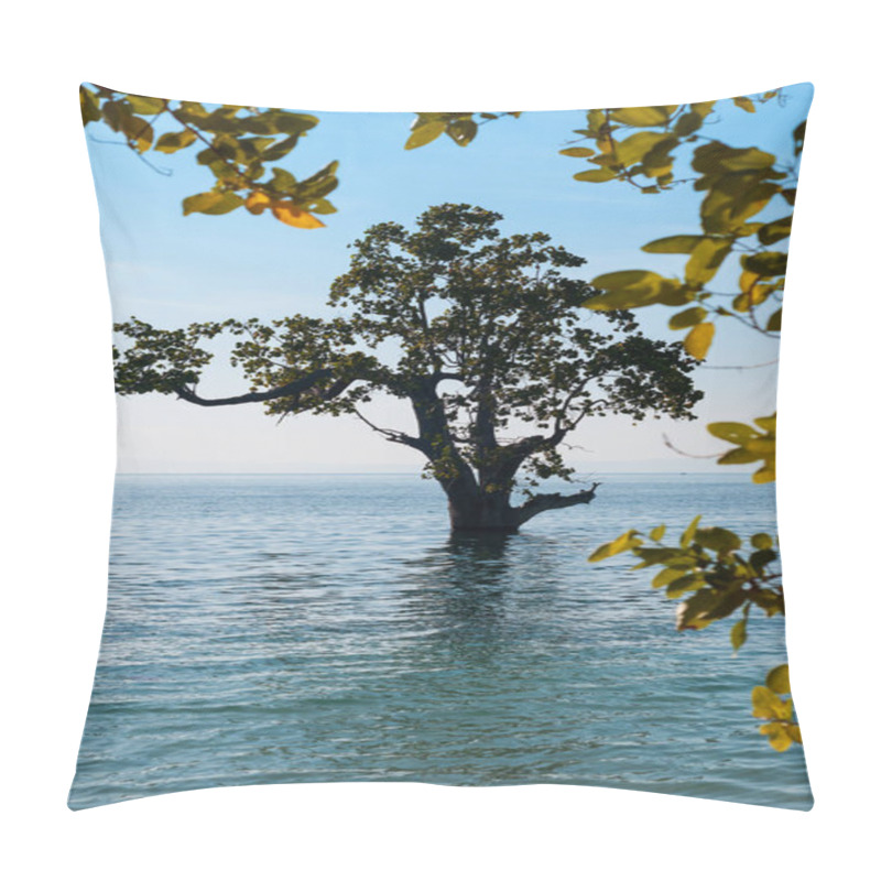 Personality  Coastal Beach Forest Planted With Mangrove Tree Species By The Shore Pillow Covers