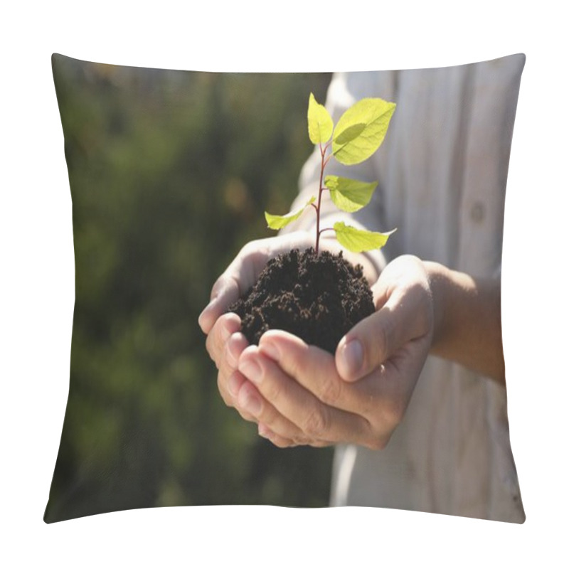 Personality  Woman Holding Soil With Young Green Seedling, Closeup. Planting Tree Pillow Covers