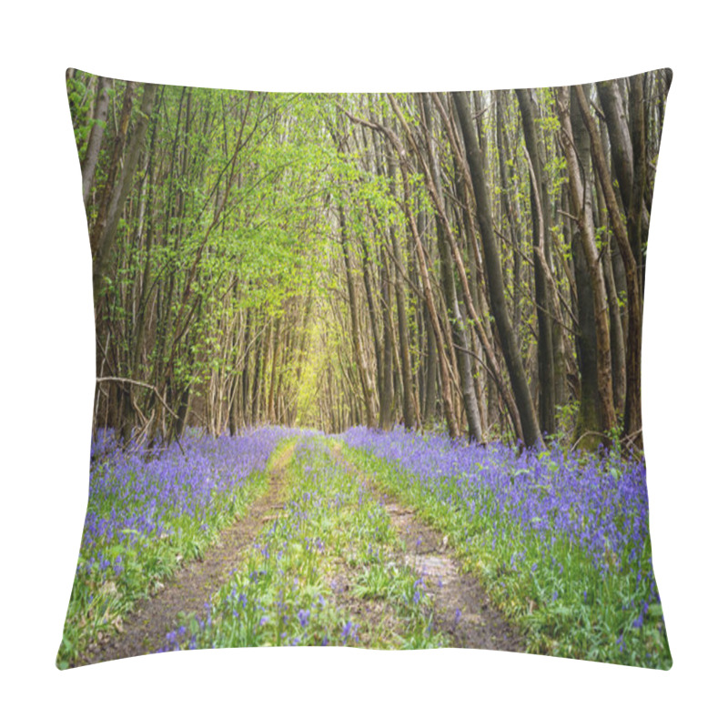 Personality  Bluebells Line A Trail Through A Dense Woodland Pillow Covers