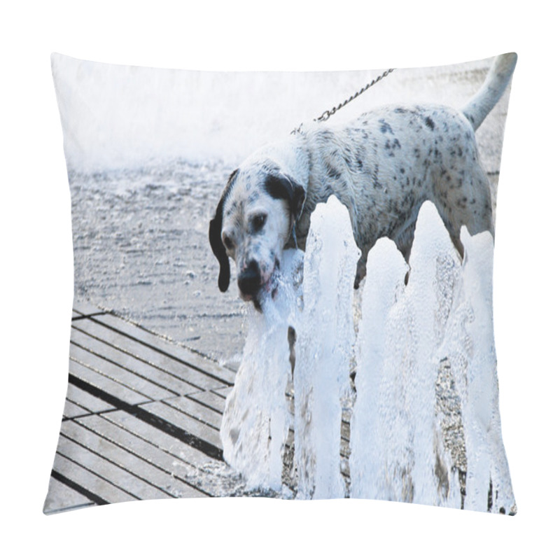 Personality  Dog On A Hot Summer Day. Pillow Covers