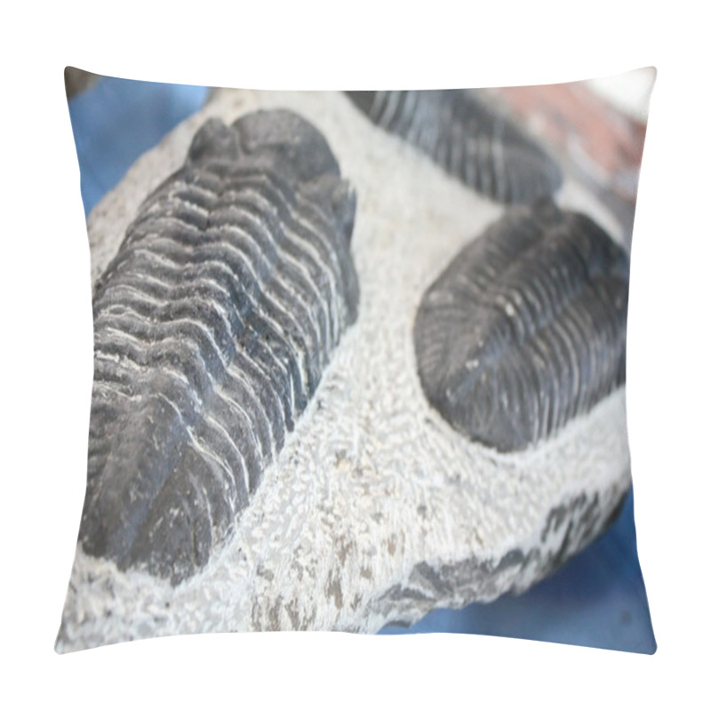 Personality  Trilobite pillow covers