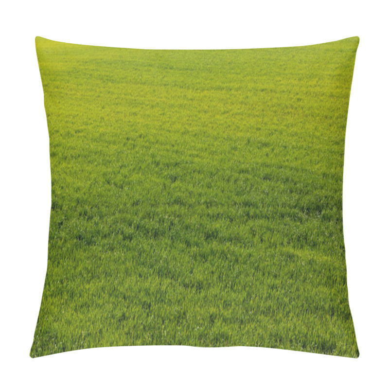 Personality  Fresh And Green Lawn With Grass In Summer  Pillow Covers