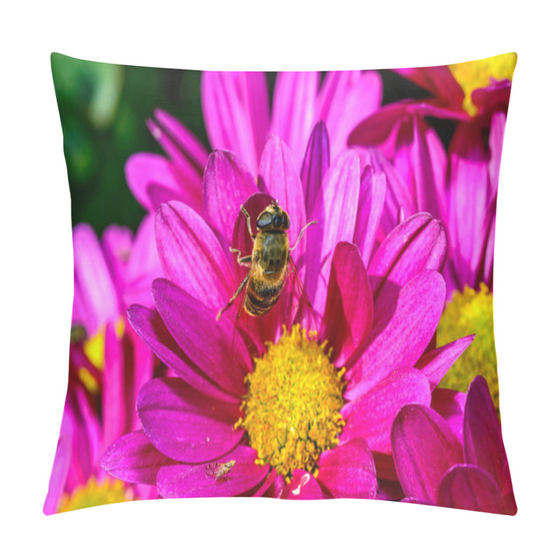 Personality  Batman Hoverfly - Myathropa Florea,  Flower Fly Hoverfly Collects Nectar On Autumn Flowers Chrysanthemum In The Garden Pillow Covers