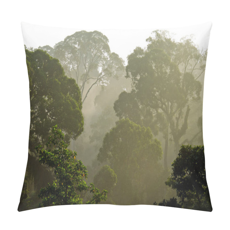 Personality  Aerial View Of The Primary Rainforest Of Borneo Pillow Covers