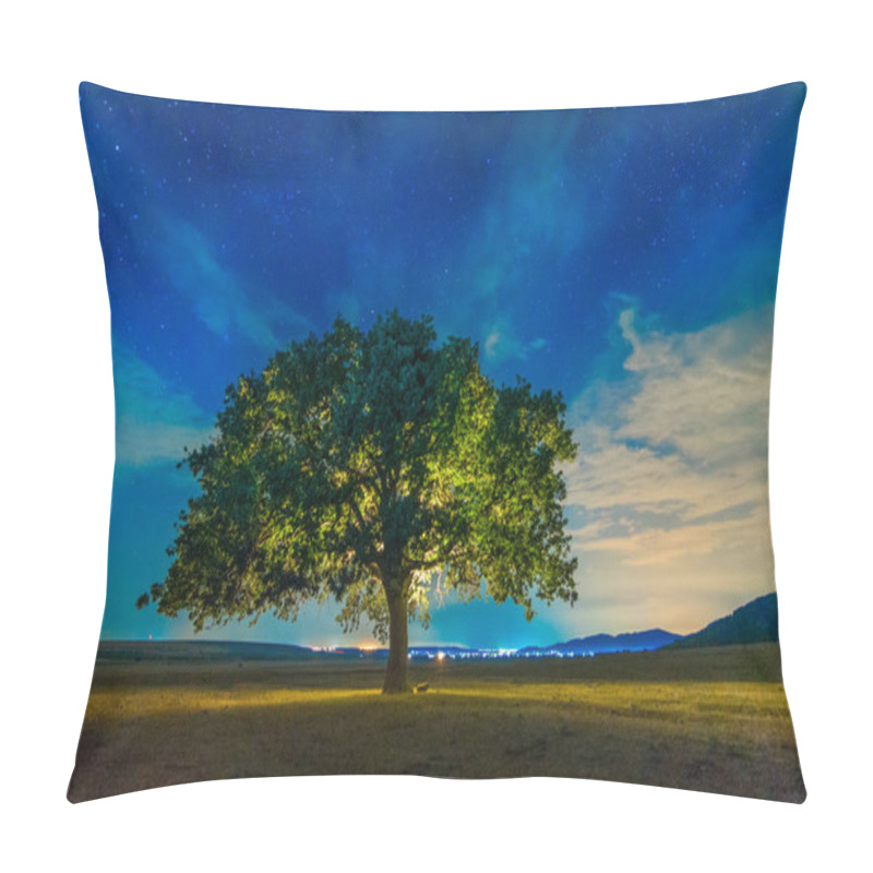 Personality  Beautiful Landscape With A Lonely Oak Tree And A Starry Night Sky With Moon Light, Dobrogea, Romania Pillow Covers