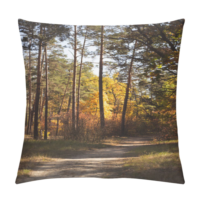 Personality  Scenic Autumnal Forest With Golden Foliage And Path In Sunlight Pillow Covers