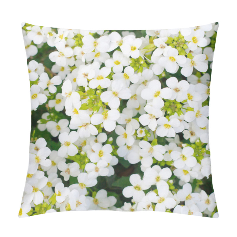 Personality  Pretty White Flowers Blooming In A Garden Pillow Covers