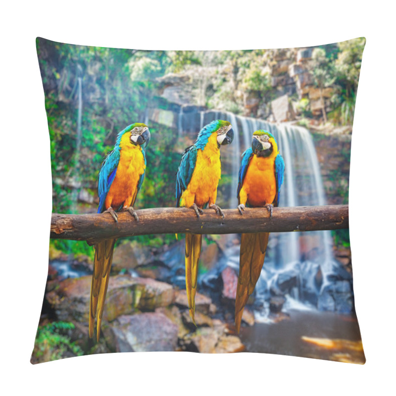 Personality  Blue-and-Yellow Macaw Ara Ararauna Pillow Covers