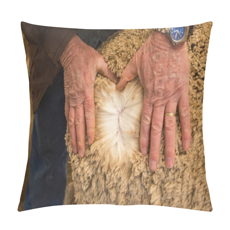 Personality  Close Up Image Of The Old Hands Of A Karoo Farmer Checking The Quality Of His Merino Wool Sheep's Wool. Pillow Covers