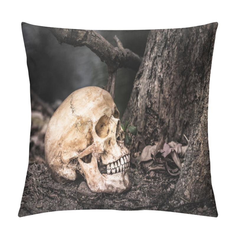 Personality  Still Life Skull Pillow Covers