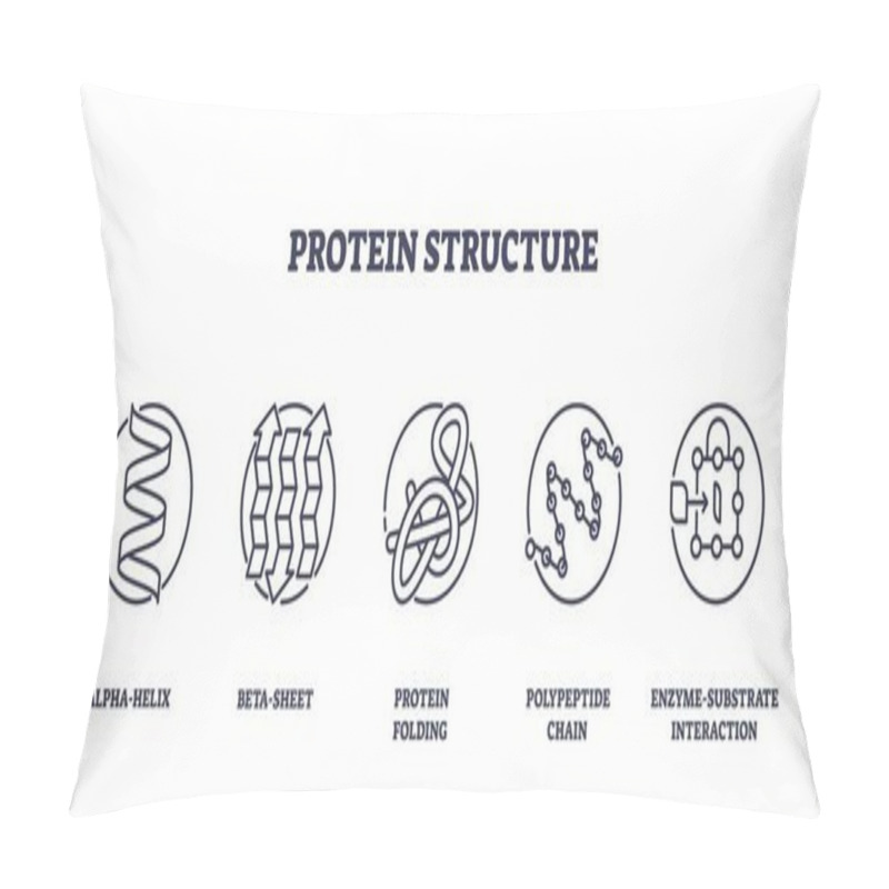 Personality  Protein Structure Icons Show Alpha-helix, Beta-sheet, Protein Folding. Outline Icons Set. Pillow Covers