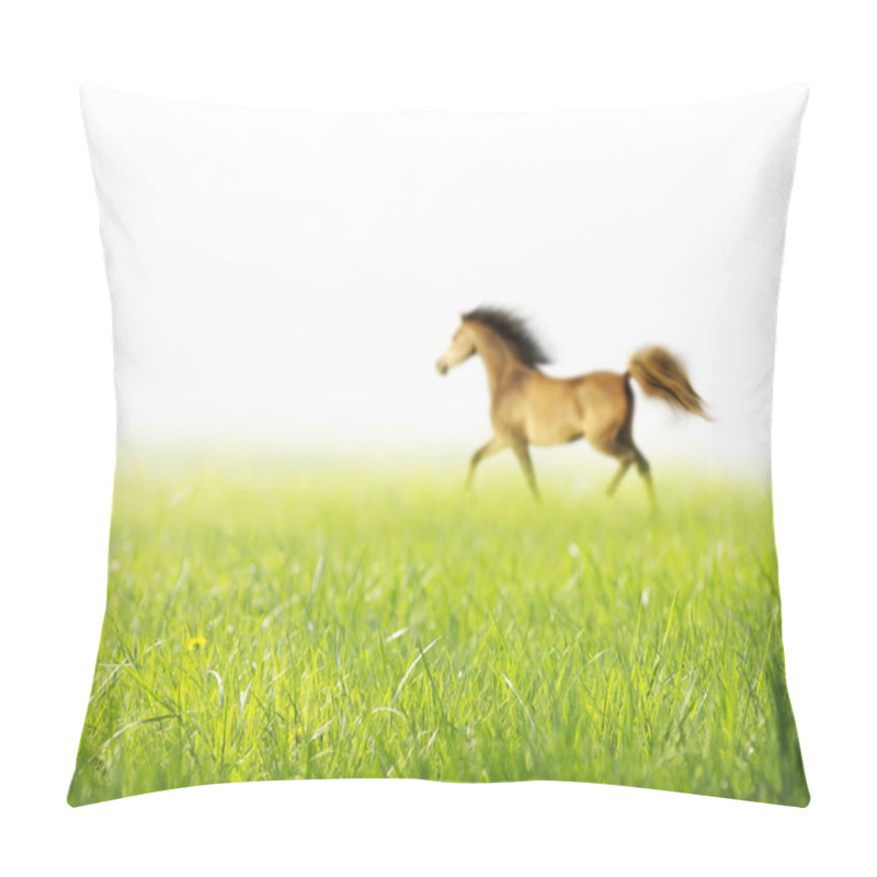 Personality  Spring Horse Grass White Background Pillow Covers