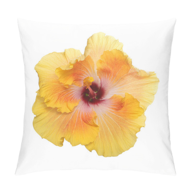 Personality  Hibiscus Flower. The Variety Is Georgia's Pearl. Isolated On White. Pillow Covers