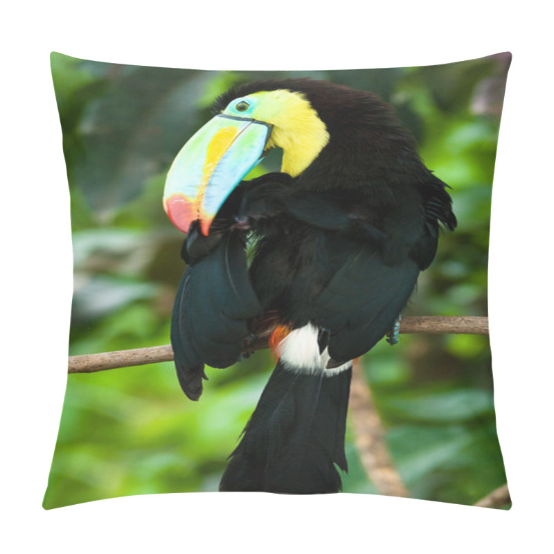 Personality  Toucan Pillow Covers