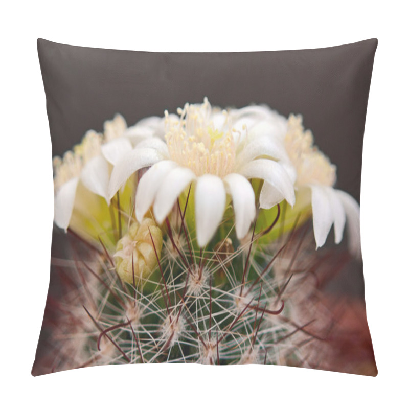 Personality  Cactus Flowers Pillow Covers