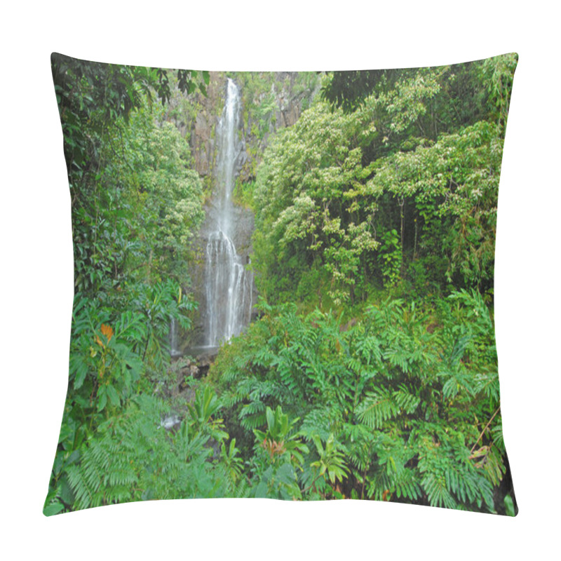 Personality  Remote Waterfall In Rainforest, Hawaii Pillow Covers