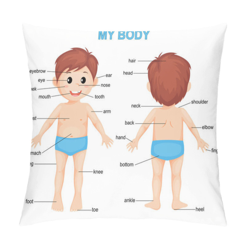 Personality  My Body. Cute Cartoon Boy. Body Parts Poster Pillow Covers