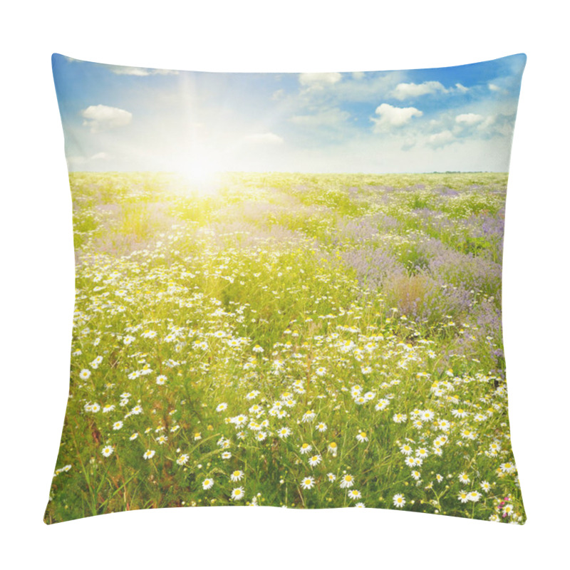 Personality  Field With Daisies And Sun On Sky, Focus On Foreground Pillow Covers