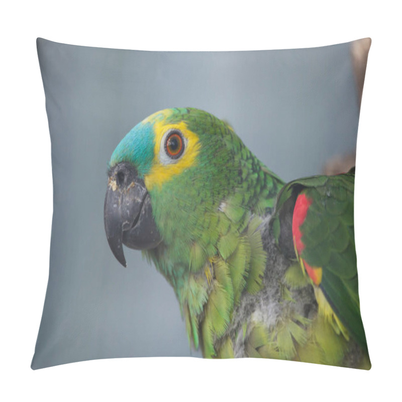 Personality  Turquoise-fronted Amazon (Amazona Aestiva) Pillow Covers