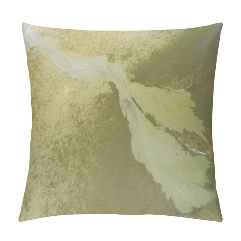 Personality  Aerial Overhead View Above Green Seaweed And Sand Pattern As Tid Pillow Covers