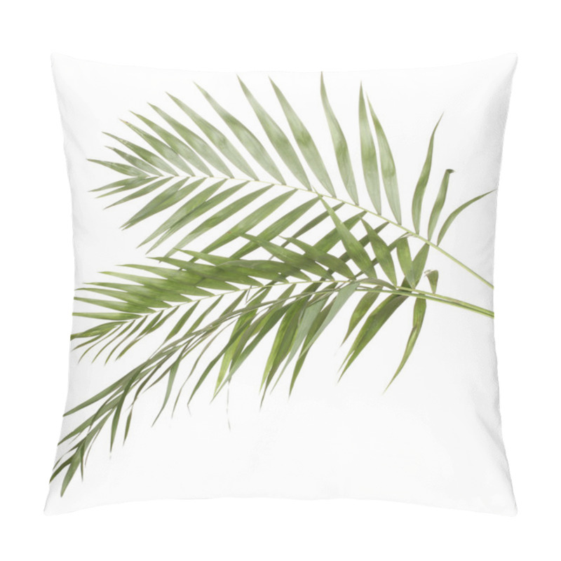 Personality  Beautiful Palm Leaves Isolated On White Pillow Covers