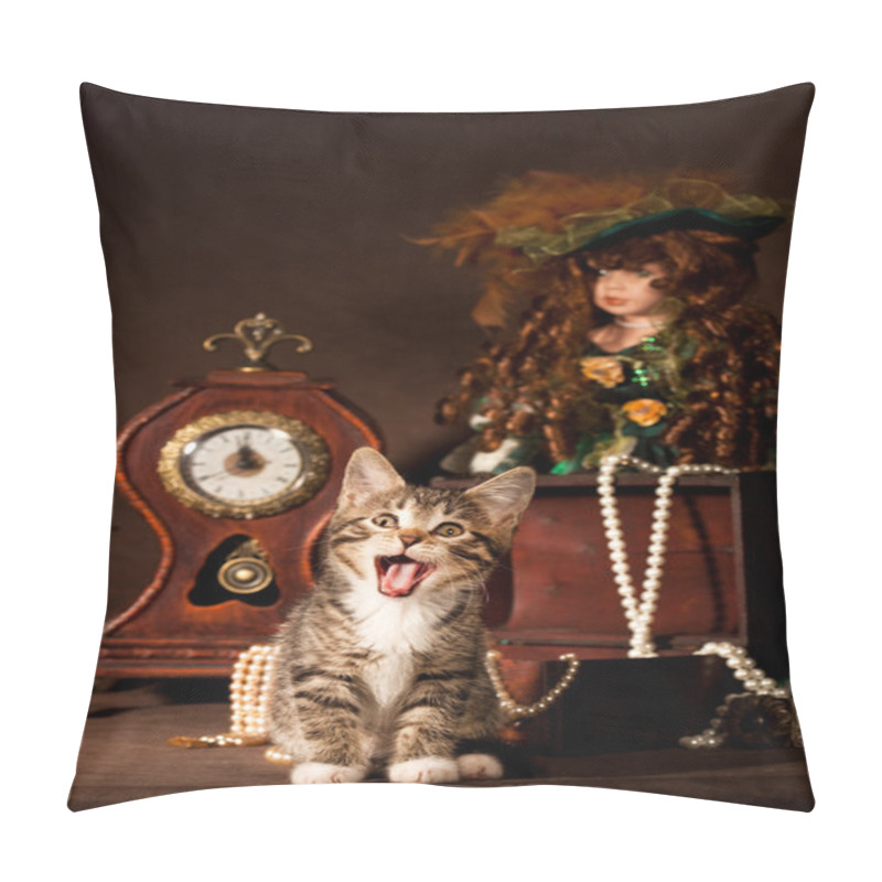 Personality  Small Kitten Pillow Covers