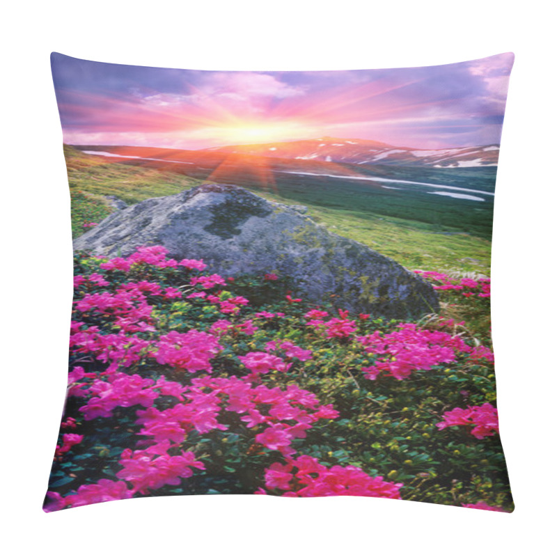 Personality  Rhododendrons Blooming In Carpathians Pillow Covers