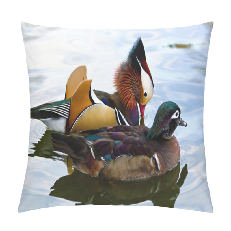 Personality  Mandarin Duck Couple Pillow Covers