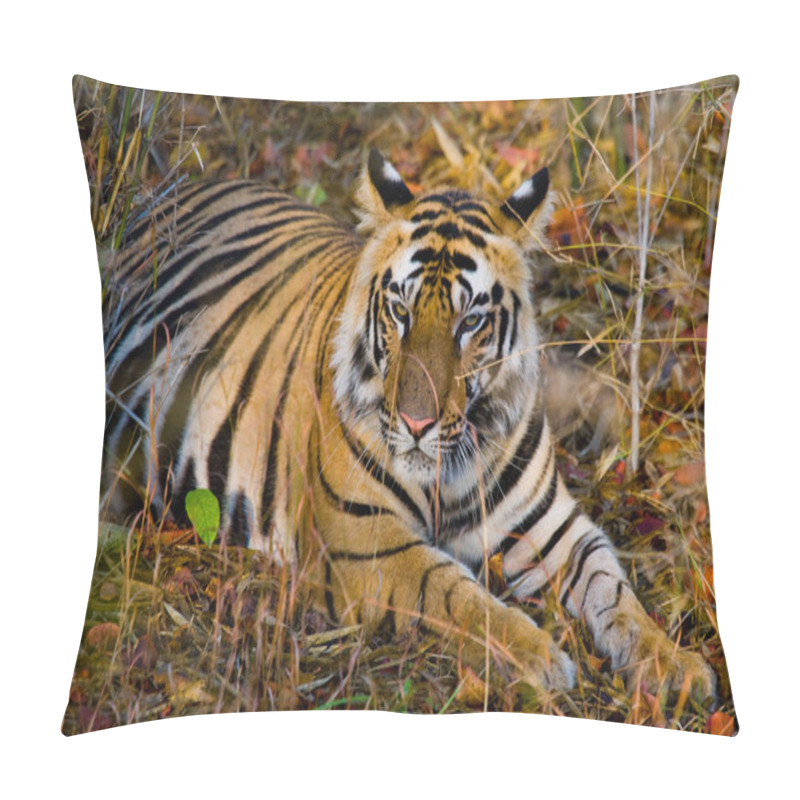 Personality  Wild Tiger Lying Relaxing Pillow Covers