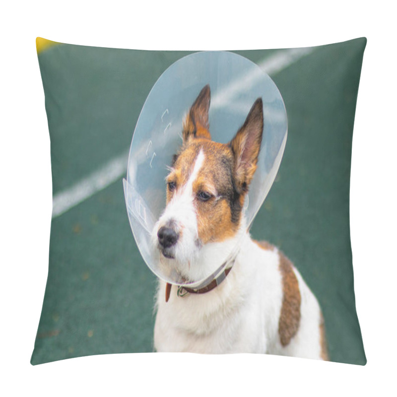 Personality  The Dog Wears An Elizabethan Plastic Conical Medical Collar Around His Neck To Protect Him From Cuts. On A Sportsground. Sad Dog Breed Jack Russell Terrier Pillow Covers