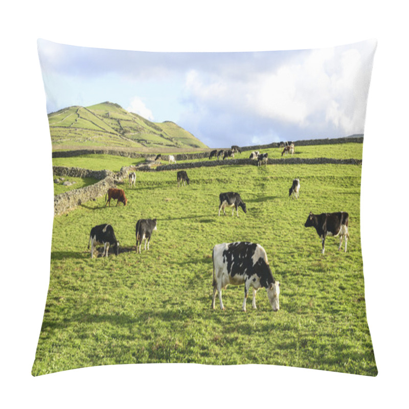 Personality  Cows At Pasture, Flores Island, Azorres Archipelago (Portugal) Pillow Covers