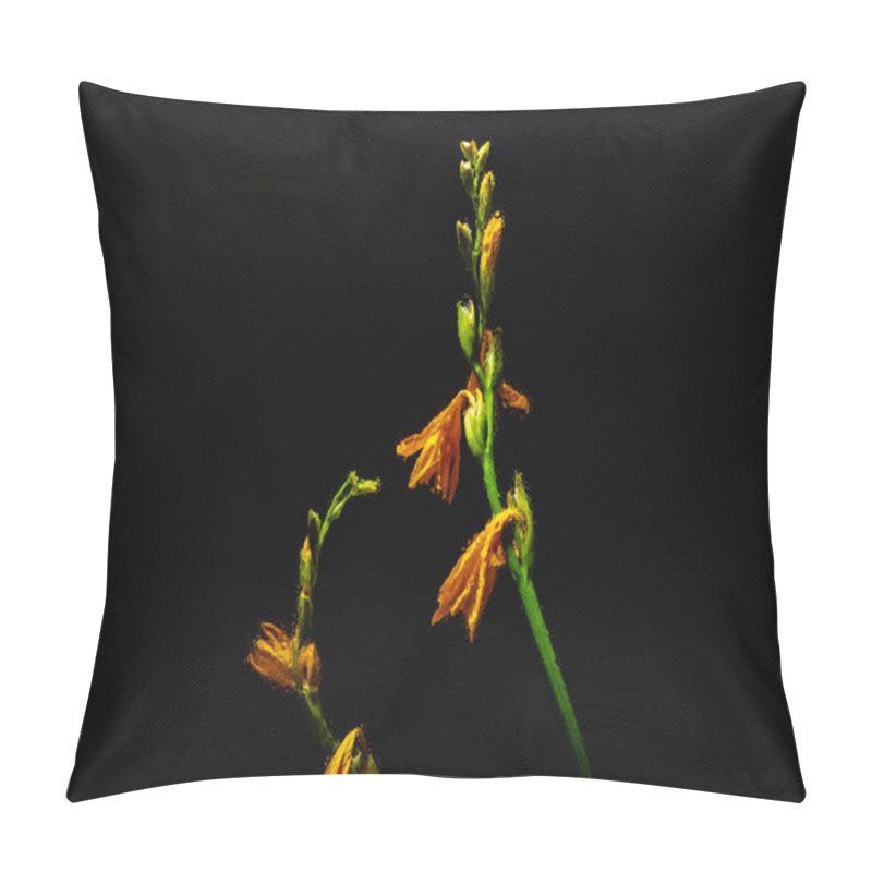 Personality  Beautiful Orange Lily Flowers And Buds On Green Stems Isolated On Black Background Pillow Covers