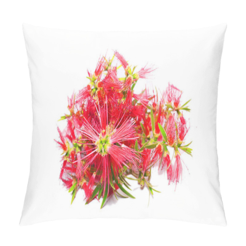 Personality  Res Flowers On White  Pillow Covers