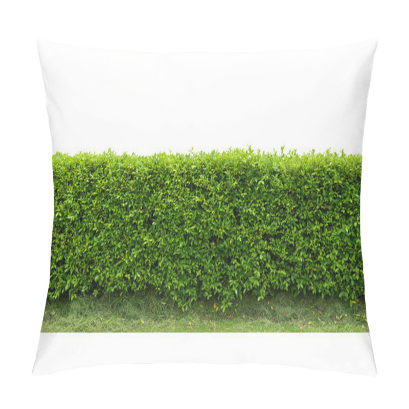 Personality  Green Tree Wall Fence With Concrete Floor Isolated On White Background For Park Or Garden Decorative. Pillow Covers