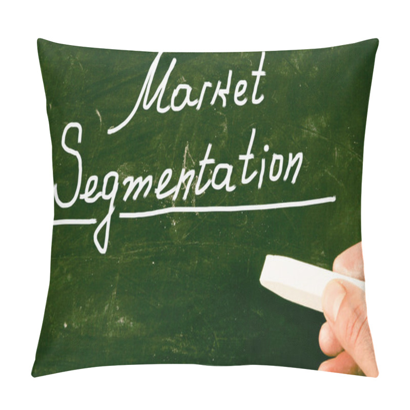 Personality  Market Segmentation Pillow Covers