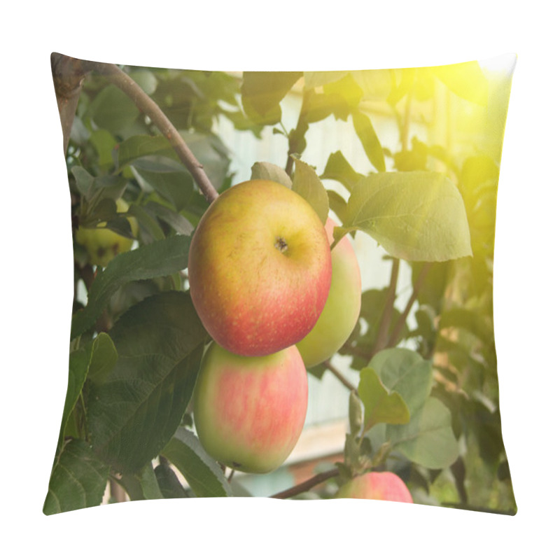 Personality  Fruit Apples Tree Pillow Covers