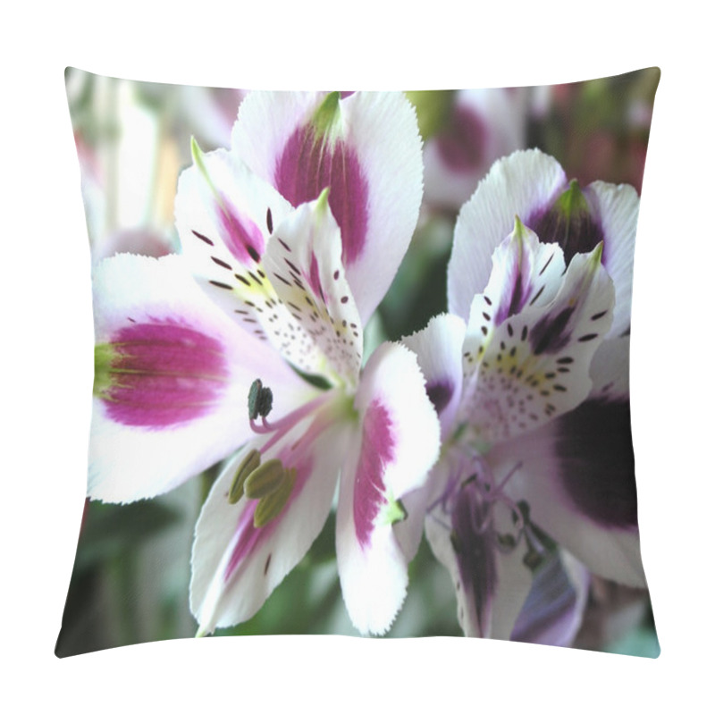 Personality  Flowers Pillow Covers