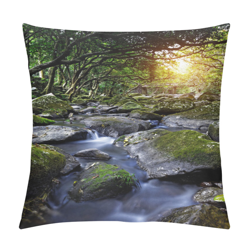 Personality  Cascade Falls Over Mossy Rocks Pillow Covers