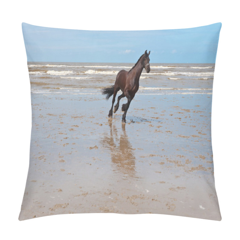 Personality  Coast In Zealand Pillow Covers