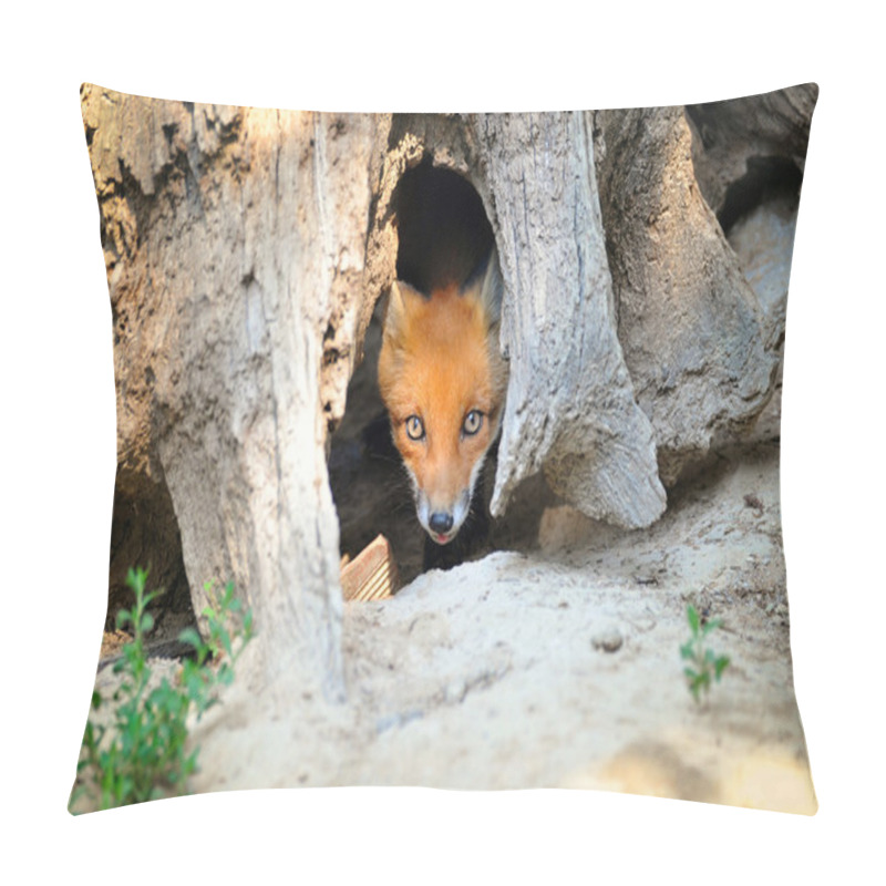 Personality  Young Red Fox Hiding In Tree Stump Den Pillow Covers