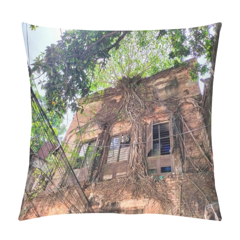 Personality  Historic Boarding Building With Intricate Old Tree Roots Intertwined: A Fascinating Blend Of Nature And Architecture Pillow Covers