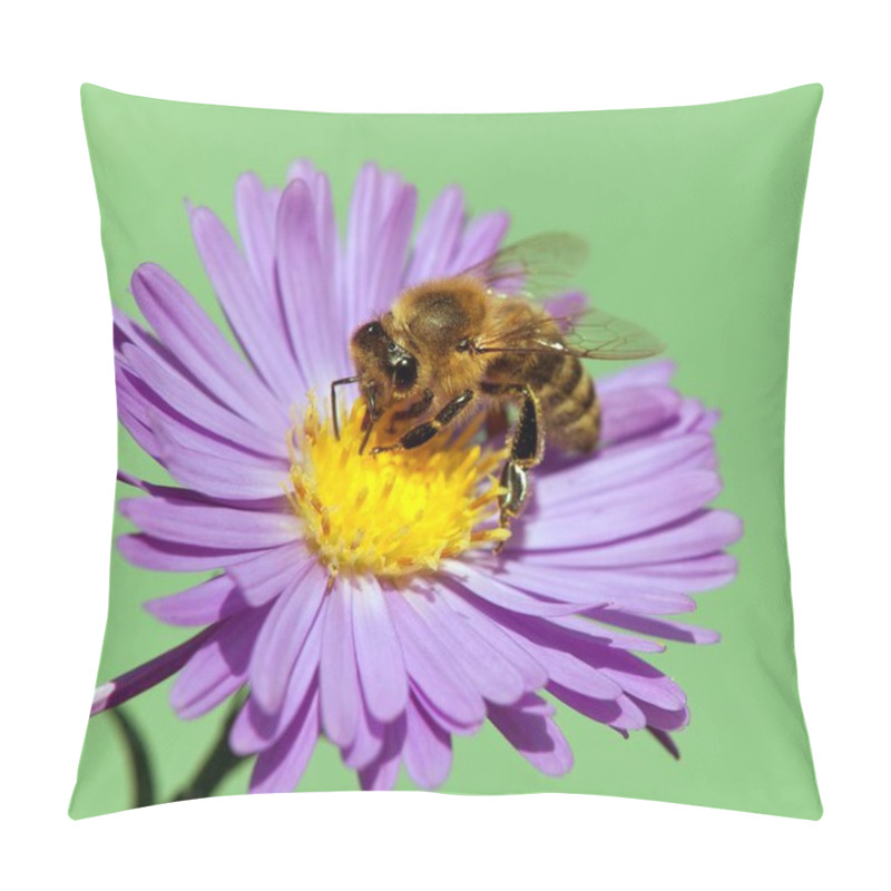 Personality  Bee Or Honeybee Apis Mellifera On Violet Flower Pillow Covers