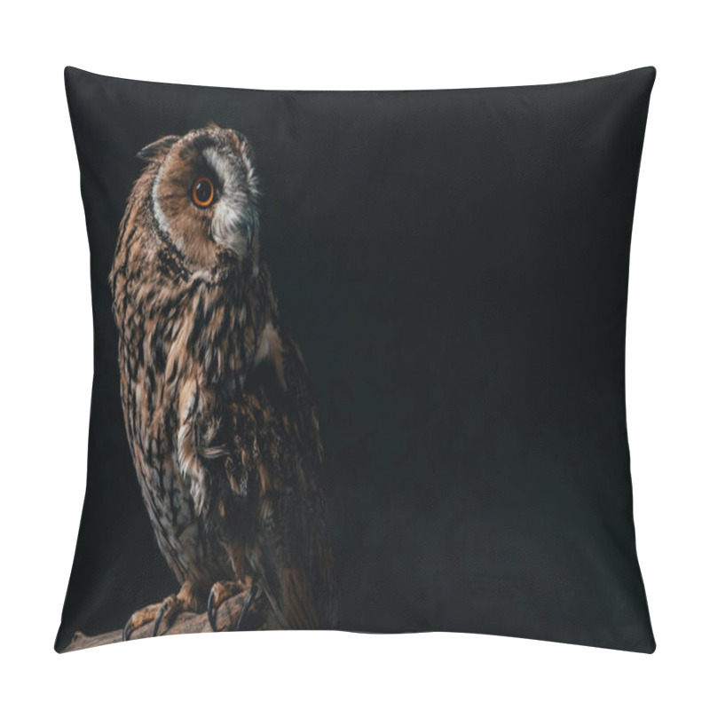 Personality  Wild Owl Sitting In Dark On Wooden Branch Isolated On Black With Copy Space Pillow Covers