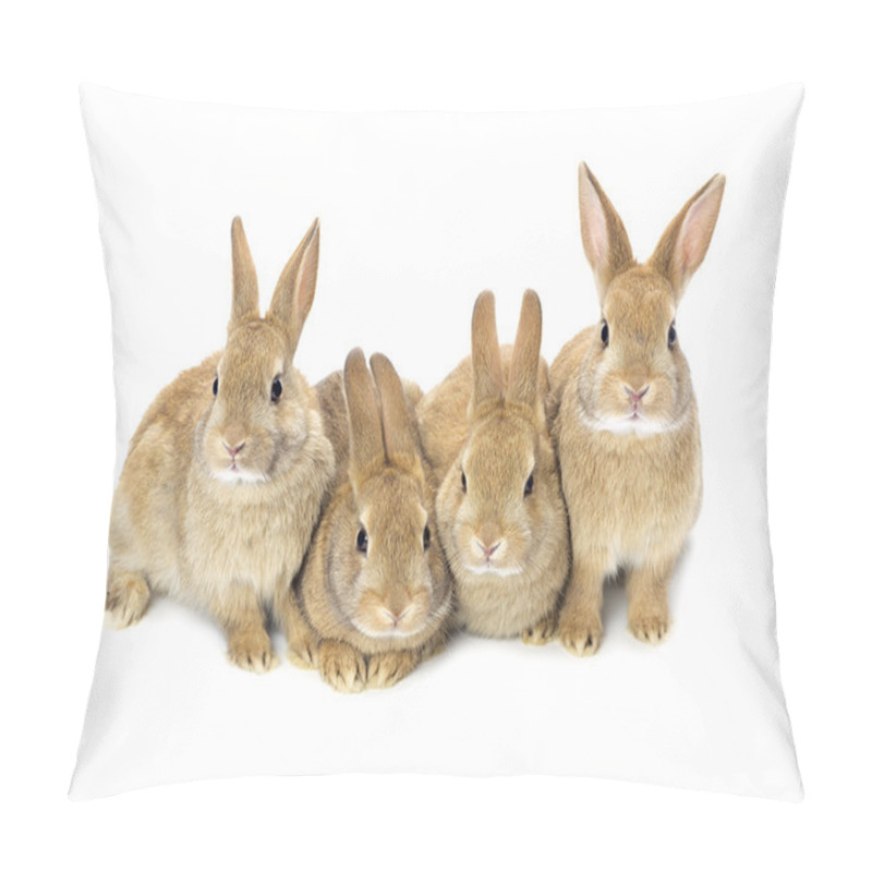 Personality  Lovely Baby Bunnies Pillow Covers