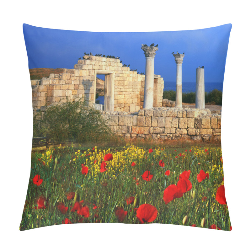 Personality  Ruins Of Greek Buildings Pillow Covers