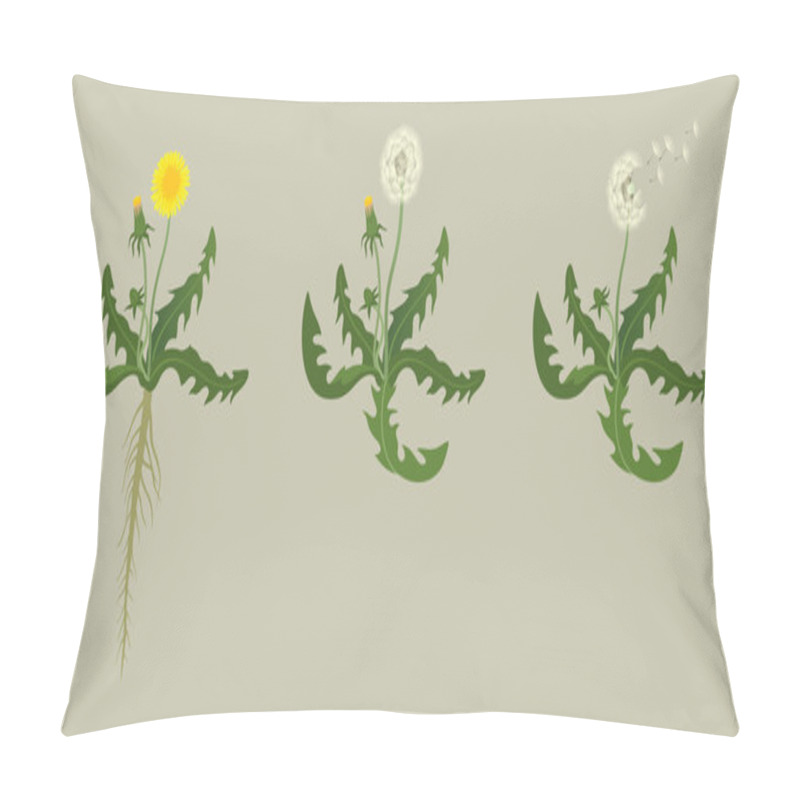 Personality  Dandelion Pillow Covers