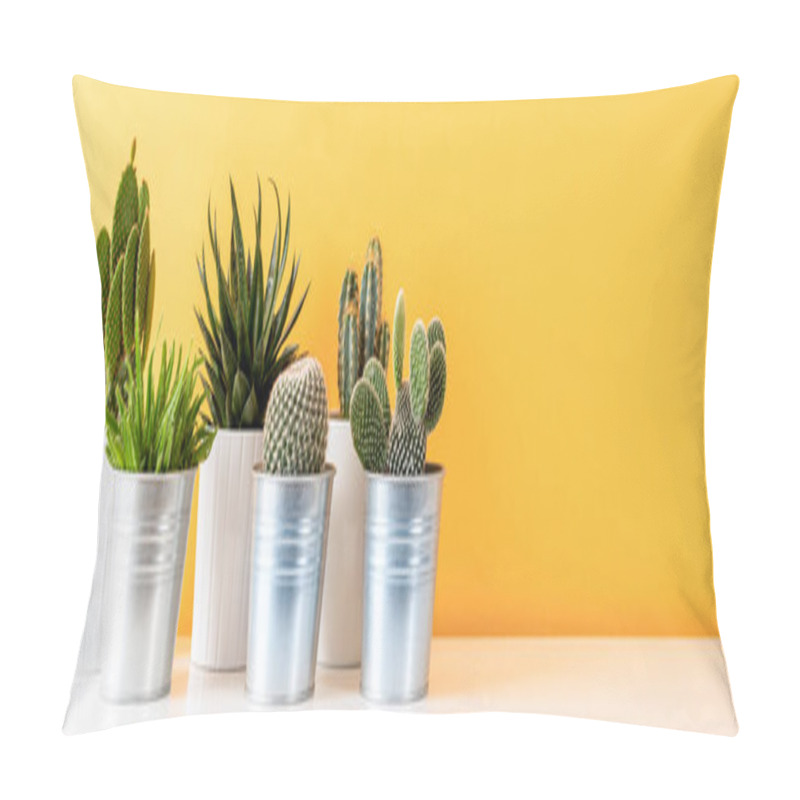 Personality  Collection Of Various Cactus Plants In Different Pots. Potted Cactus House Plants On White Shelf Against Pastel Mustard Colored Wall. Cactus Plants Banner. Pillow Covers